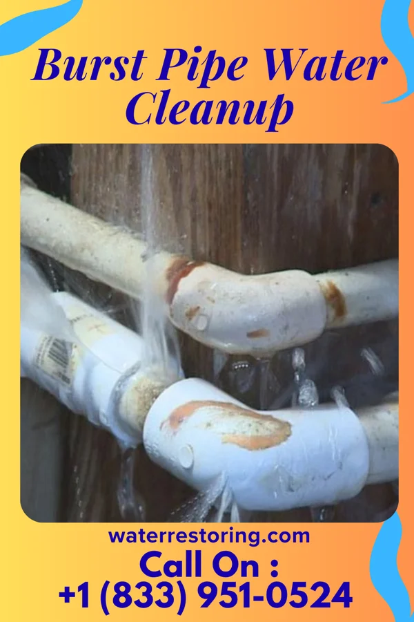 Burst Pipe Water Cleanup in McClure, IL