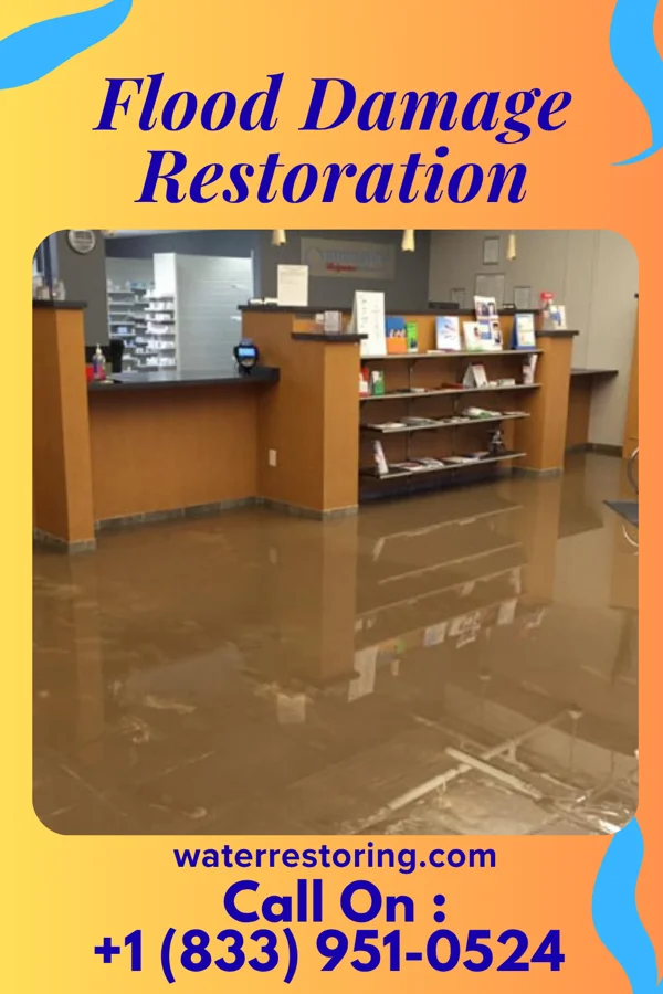 Flood Damage Restoration in McClure, IL